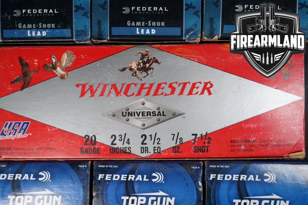 500 RDS! 20-Gauge Ammo 20Ga Ammunition