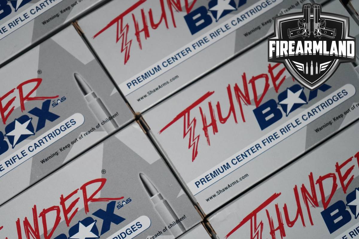 200 RDS! 243 Win Ammo 243WIN Ammunition