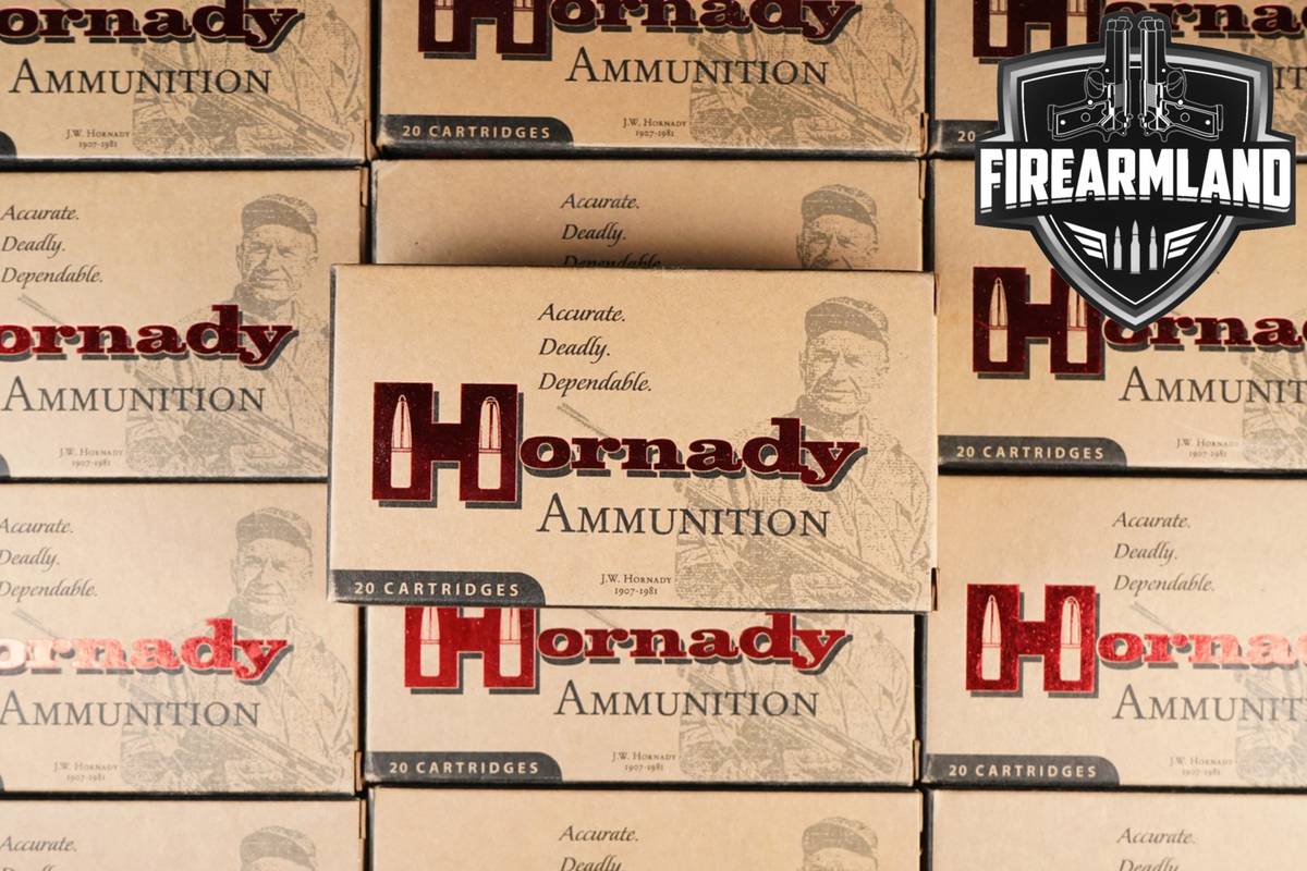260 RDS! 243 Win Ammo 243Win Ammunition