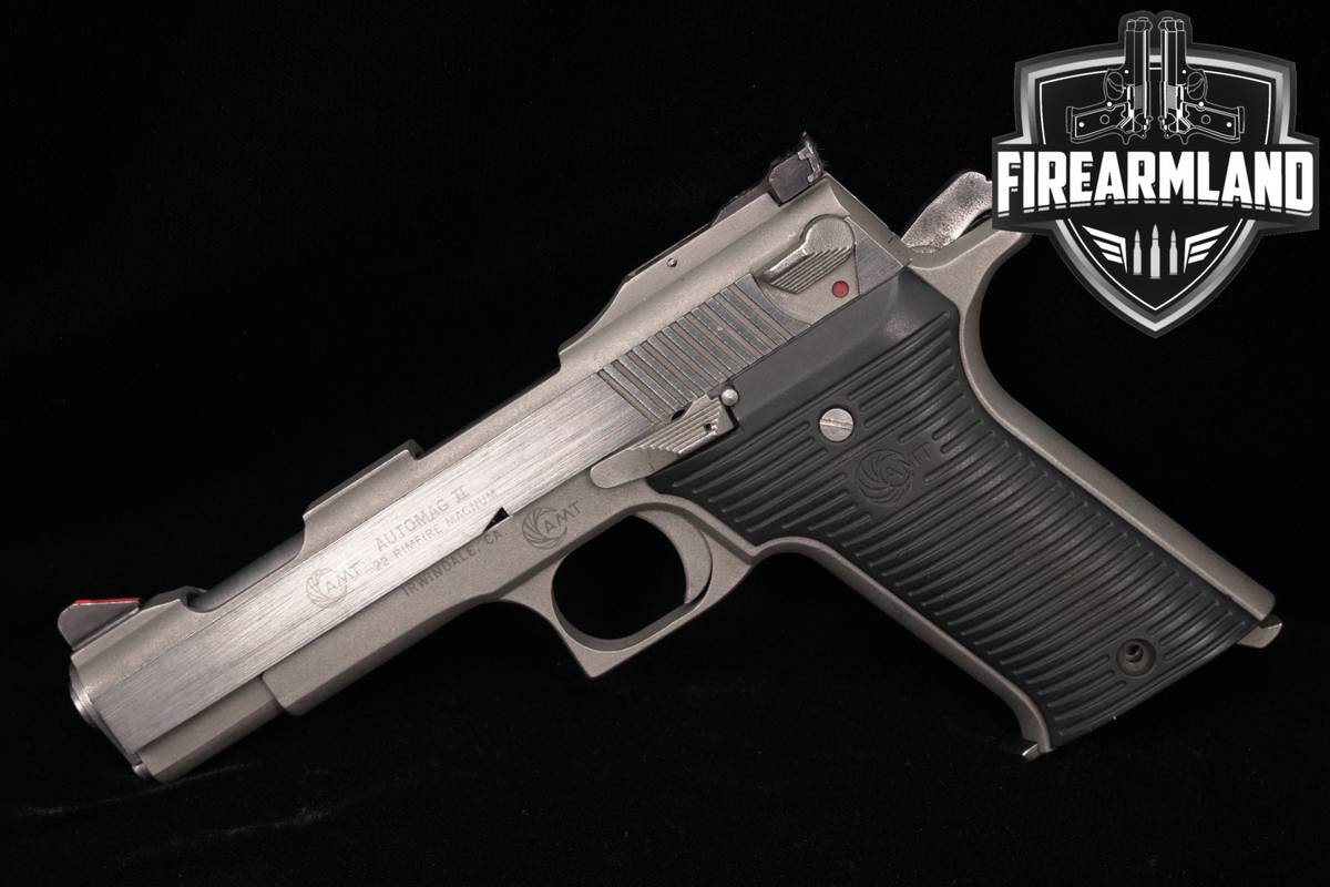 AMT Automag II 22 WMR 4.5" Stainless Auto Mag 2